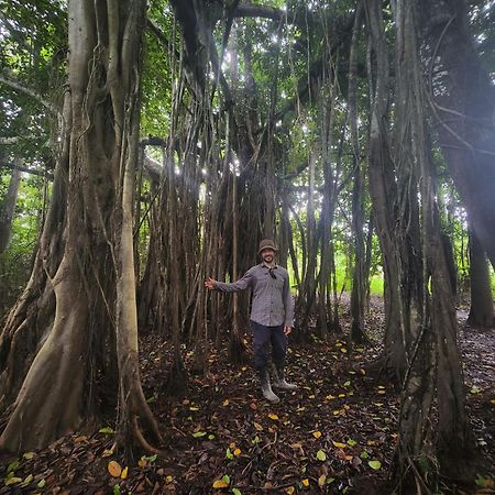 Hospedaje Y Tours Reina Arriera Amazonas Colombia Macedonia Kültér fotó