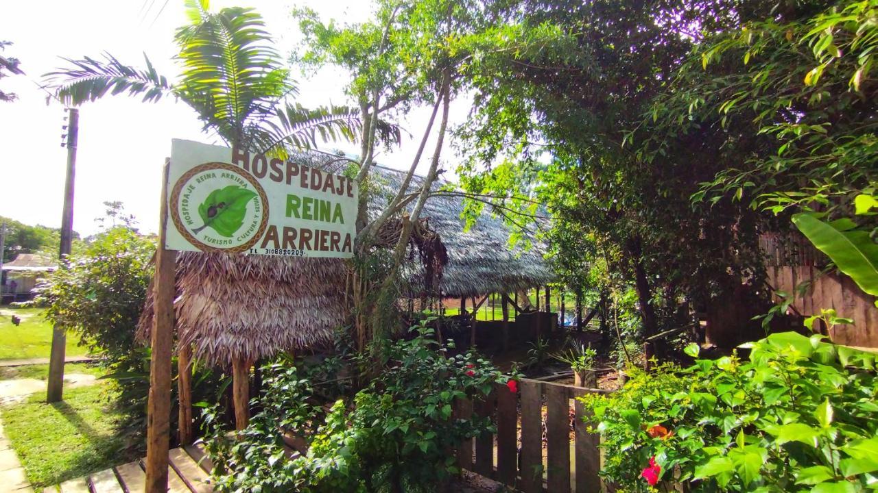 Hospedaje Y Tours Reina Arriera Amazonas Colombia Macedonia Kültér fotó
