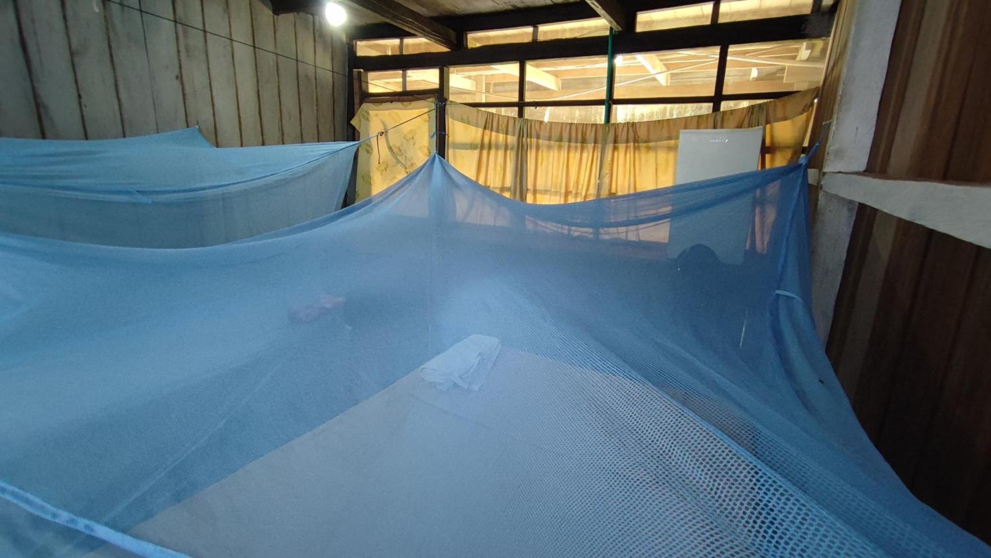 Hospedaje Y Tours Reina Arriera Amazonas Colombia Macedonia Kültér fotó