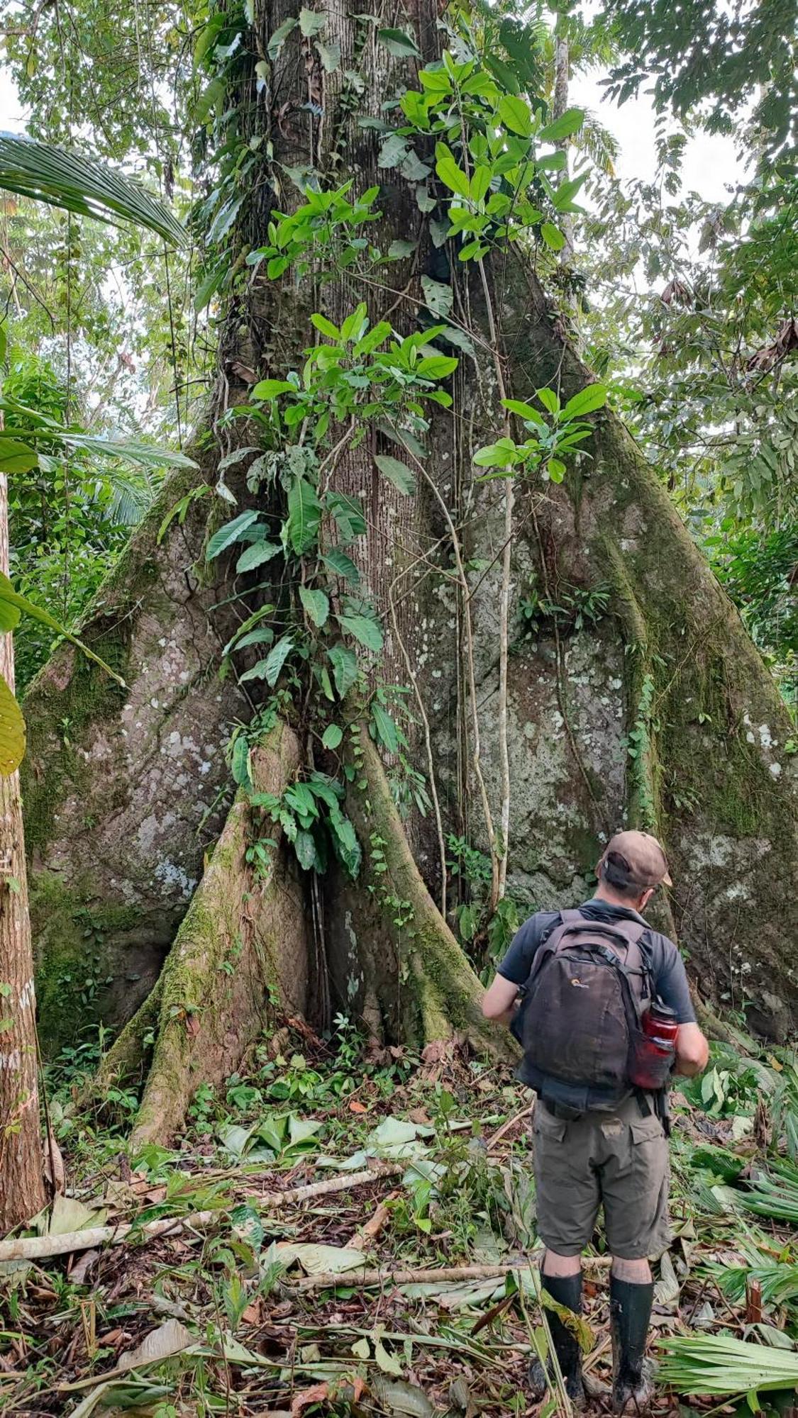 Hospedaje Y Tours Reina Arriera Amazonas Colombia Macedonia Kültér fotó
