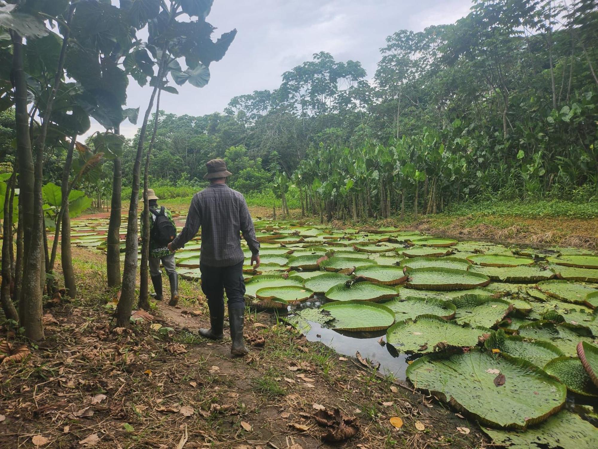 Hospedaje Y Tours Reina Arriera Amazonas Colombia Macedonia Kültér fotó