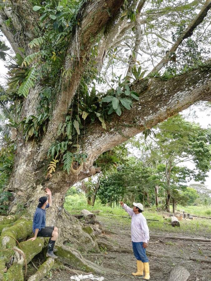 Hospedaje Y Tours Reina Arriera Amazonas Colombia Macedonia Kültér fotó
